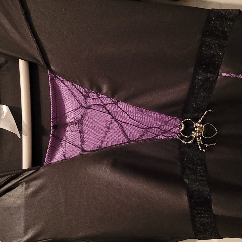 Discounted - Condition Good -Discounted - Spirit Halloween Costume - Witch Dress - Picture 2 of 5